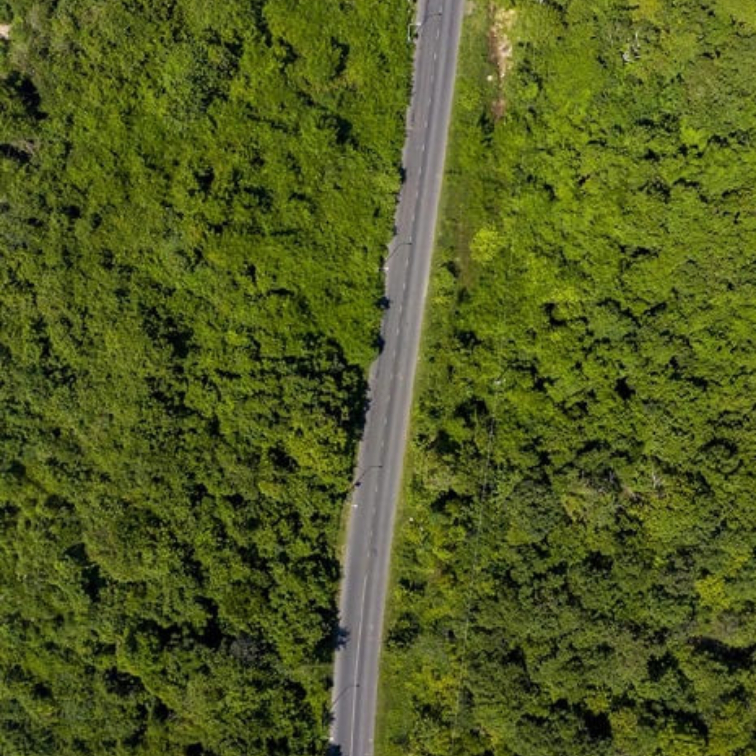 Binh Chau- Phuoc buu nature forest